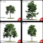 Evermotion Archmodels vol.171 - изображение № 11