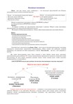 Как писать сочинение ЕГЭ-2021 г.  (Из опыта работы) - изображение № 7