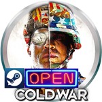 ⭐️ ⭐️ Call of Duty®: Black Ops Cold War - Steam ⭐️ ⭐️