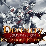 Divinity: Original Sin новый аккаунт+EMAIL Region Free