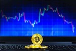 Прогнозы на Bitcoin 1 месяц подписки