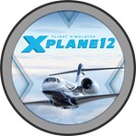 X-Plane 12®️Steam (Region Free)(GLOBAL)