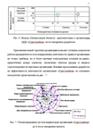Стратегия дезинтеграции и аутсорсинга курсовая - изображение № 7