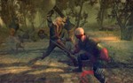 The Witcher: Enhanced Edition Director's Cut Steam UAKZ - изображение № 3