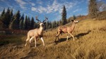 theHunter: Call of the Wild Steam Gift Россия UA KZ BY - изображение № 6