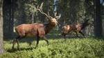 theHunter: Call of the Wild Steam Gift Россия UA KZ BY - изображение № 5