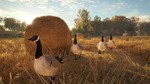 theHunter: Call of the Wild Steam Gift Россия UA KZ BY - изображение № 3
