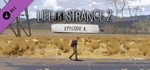 Life is Strange 2 - Episode 4 (Steam Gift Россия) 