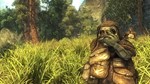 Risen (Steam Gift Россия)  - изображение № 6