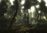 Risen (Steam Gift Россия)  - изображение № 8