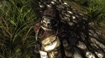 Risen (Steam Gift Россия)  - изображение № 7