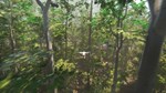 Bird (Steam Gift Россия)  - изображение № 5