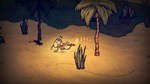 Don't Starve - Shipwrecked (Steam Gift Россия)  - изображение № 5