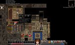 Dungeons of Dredmor (Steam Gift Россия) - изображение № 2