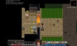 Dungeons of Dredmor (Steam Gift Россия) - изображение № 6