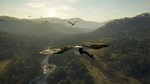 theHunter: Call of the Wild - Emerald Coast Australia - изображение № 4