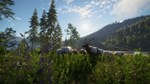 theHunter: Call of the Wild - Silver Ridge Peaks Steam - изображение № 2