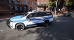 Police Simulator: Urban Terrain Vehicle DLC - изображение № 5