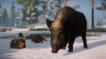 Planet Zoo: Ultimate Edition (Steam Gift Россия) - изображение № 4