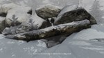 The Whisperer (Steam Gift Россия) - изображение № 2
