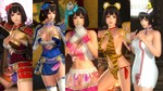 DOA5LR Character: Naotora Ii (Steam Gift Россия) - изображение № 2