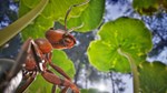 Empire of the Ants - Digital Deluxe Edition Steam Gift - изображение № 6