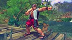 Super Street Fighter IV: Summer Shoryuken Pack Steam RU - изображение № 3