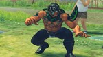 USFIV: Complete Brawler Pack (2011) (Steam Gift Россия) - изображение № 5