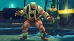 USFIV: Complete Brawler Pack (2011) (Steam Gift Россия) - изображение № 4