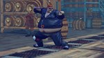 USFIV: Complete Brawler Pack (2011) (Steam Gift Россия) - изображение № 3