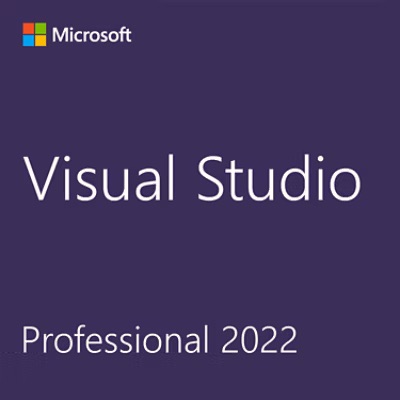 Visual Studio 2022 Professional / Бессрочная лицензия