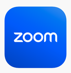  Подписка Zoom Зум Профессиональный [1/12 МЕСЯЦЕВ] 
