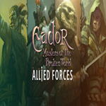 ???? Eador. Masters of the Broken World - Allied Forces