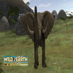  Wild Earth - Africa  EPIC GAMES  (PC)