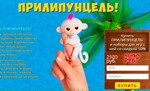 fingerlings-monkeys