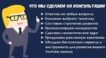 Консультация Радика Суфияновича 30 минут