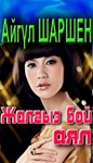 34_Жалгыз бой аял