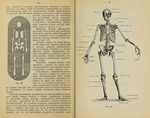 Руководство для археологических раскопок, 1914 - изображение № 5