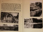 Архив проекта Ромб-Орион. Дело 83-154-964-ОстровПасхи - изображение № 2