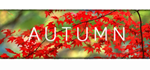 Autumn [STEAM KEY/REGION FREE] 