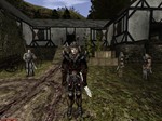 Gothic II Gold Edition (Steam key) - изображение № 2
