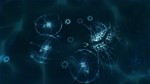 Sparkle ZERO (steam key) - изображение № 2