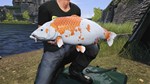 Euro Fishing Ultimate Edition (Steam key) - изображение № 3
