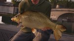 Fishing Sim World Quad Lake Pass (steam key) - изображение № 3