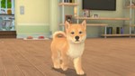 My Universe Puppies  Kittens (steam key) - изображение № 2