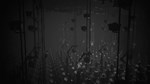 White Shadows (Steam key) == RU - изображение № 3