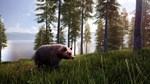 Hunting Simulator 2 Bear Hunter Pack DLC (steam key) - изображение № 2