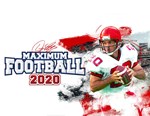 Doug Fluties Maximum Football 2020 (steam key)