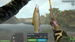 Ultimate Fishing Simulator Taupo Lake (steam key) DLC - изображение № 5
