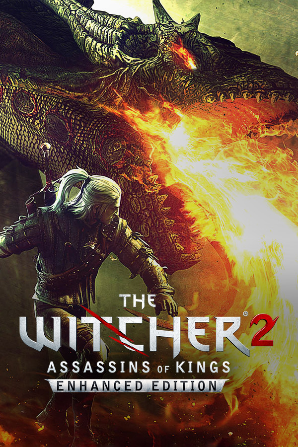 Witcher 2: Assassins of Kings (Steam Gift ROW+RU/CIS)